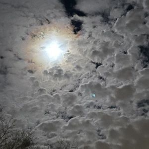 Meet your Posher, Elise